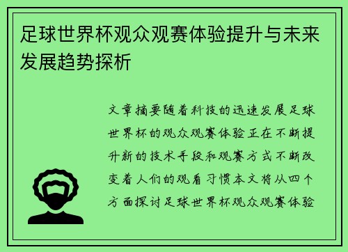 足球世界杯观众观赛体验提升与未来发展趋势探析