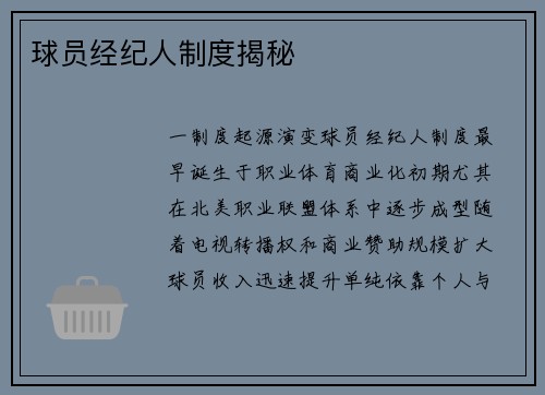 球员经纪人制度揭秘